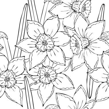 Alan çiçekleri siyah çizgi izole ile Çiçek dikişsiz arka plan