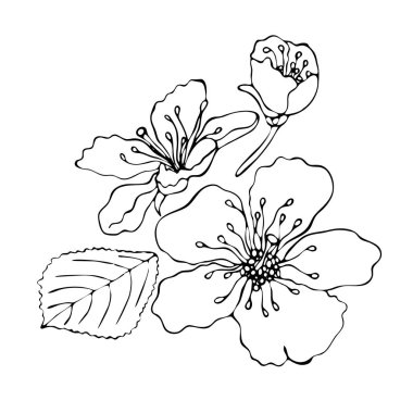 Siyah çizgi çiçek ile çiçek boyama şablonu