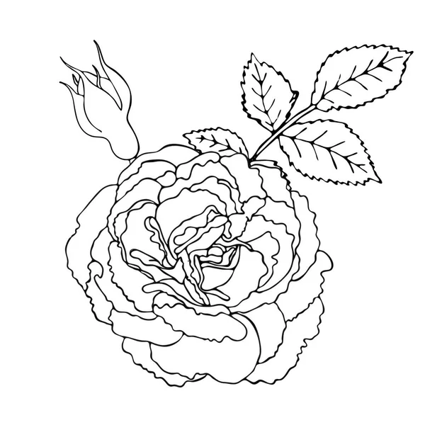 Квітковий шаблон розмальовки з чорною лінією квітки — стоковий вектор
