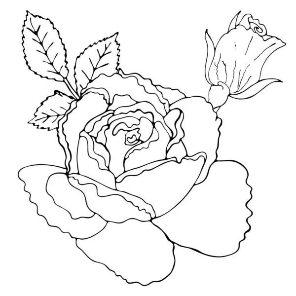 Plantilla para colorear floral con flor de línea negra — Vector de stock