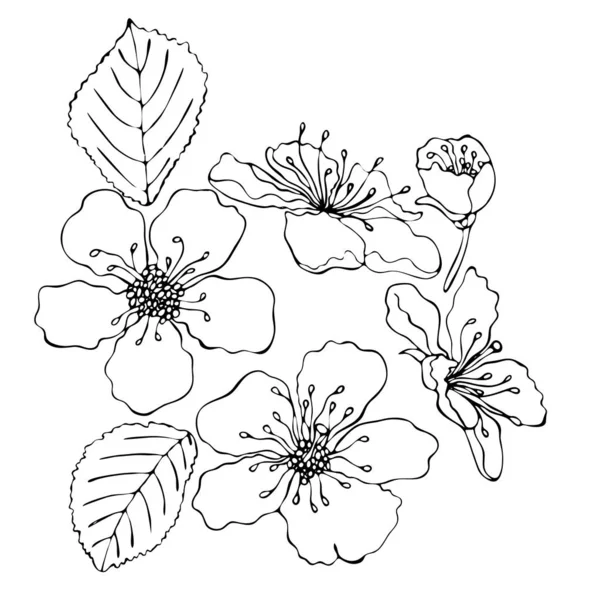 黒い線の花と花の着色テンプレート — ストックベクタ