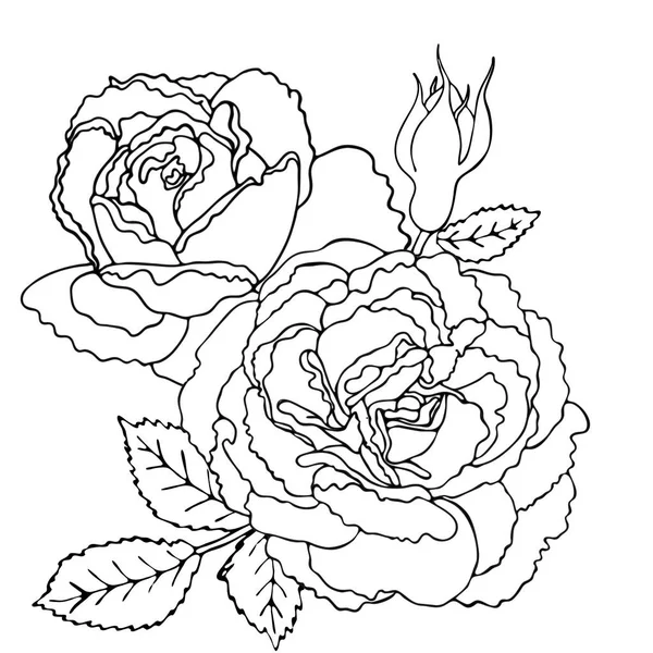 Plantilla para colorear floral con flor de línea negra — Archivo Imágenes Vectoriales