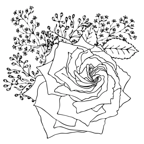 Květinová šablona pro květinové zbarvení — Stockový vektor