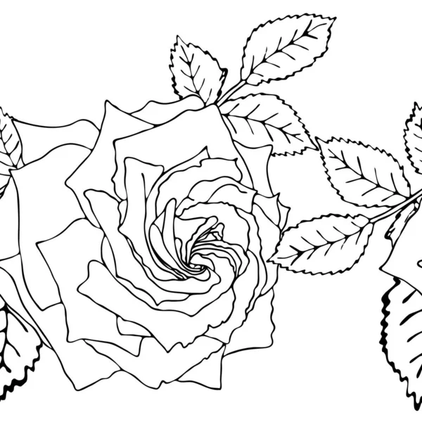 Floral vector naadloze patroon met zwarte lijn bloem — Stockvector
