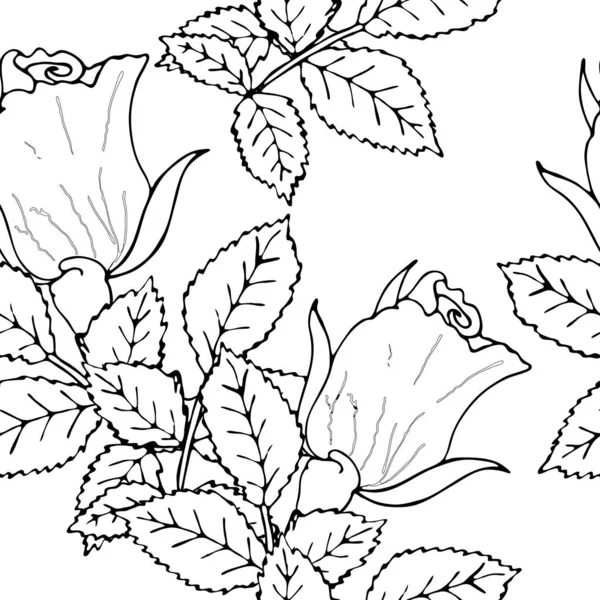 Patrón sin costura vector floral con flor de línea negra — Vector de stock