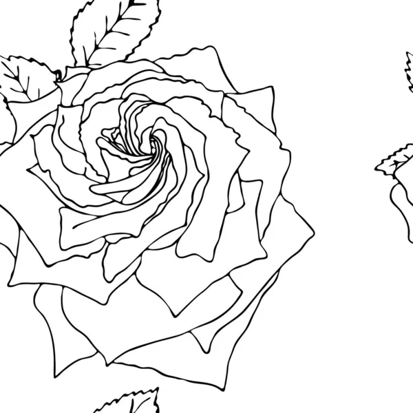 Floral vector naadloze patroon met zwarte lijn bloem — Stockvector