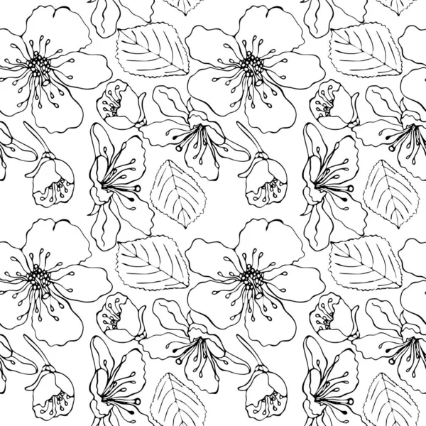 Floral vector naadloze patroon met zwarte lijn bloem — Stockvector