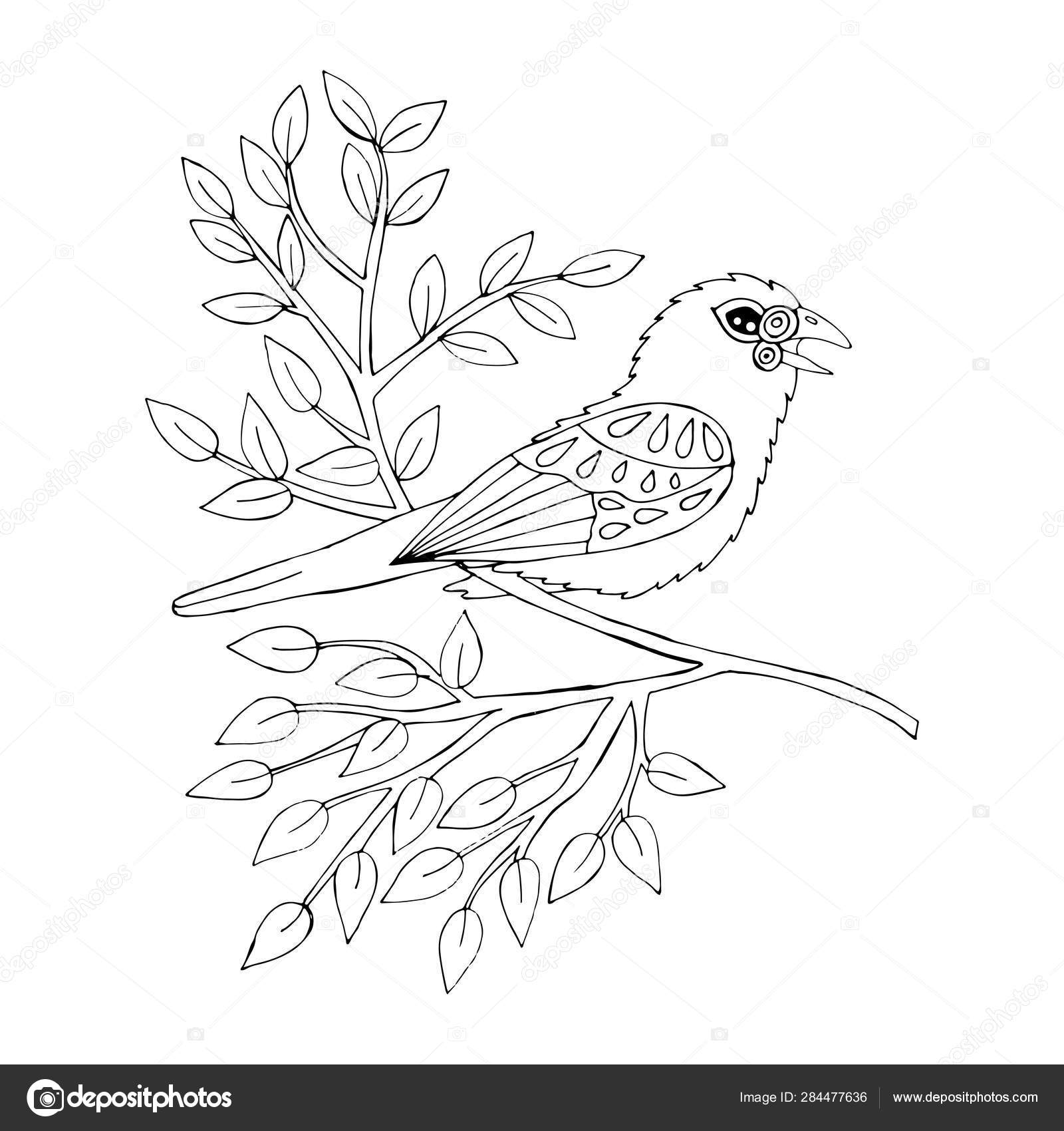 Cartoon bird for coloring book or pages Stock Vector Image by ©ellina200@ #284477636 Cartoon bird for coloring book or pages Stock Vector Image by ©ellina200@ #284477636