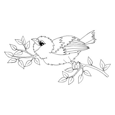 Boyama kitabı veya sayfaları için karikatür kuş