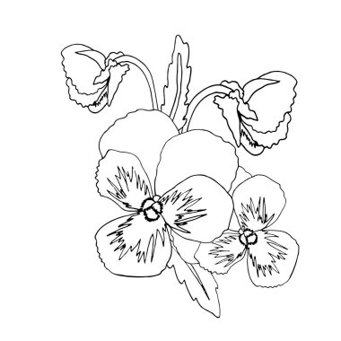 Siyah çizgi çiçek ile çiçek boyama şablonu