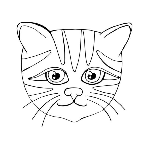 Boyama kitabı veya sayfaları için karikatür kedi — Stok Vektör