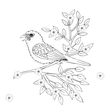 Boyama kitabı veya sayfaları için karikatür kuş
