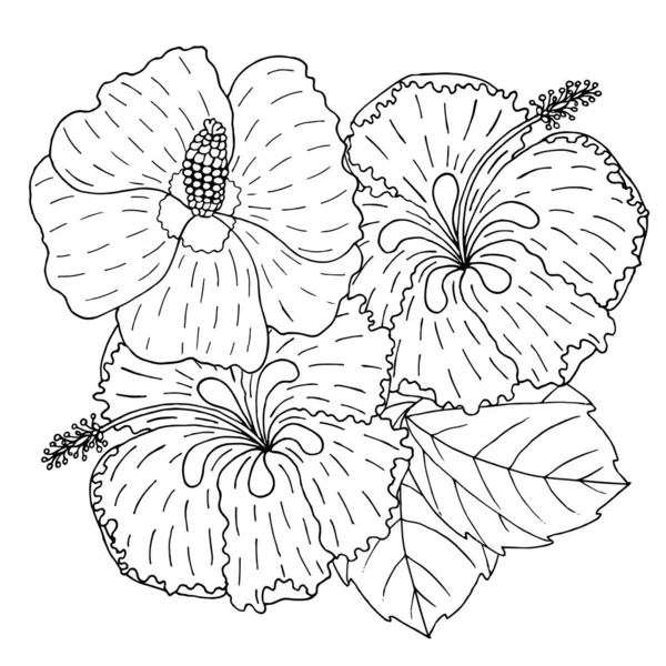 Vector Hibiscus flower line art on white