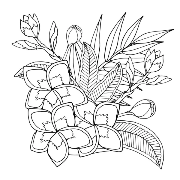 Plumerie atau bunga eksotis frangipany terisolasi pada warna putih - Stok Vektor