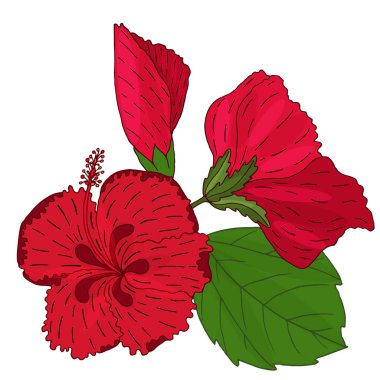 Çeviri: nazo82 Shagrathian