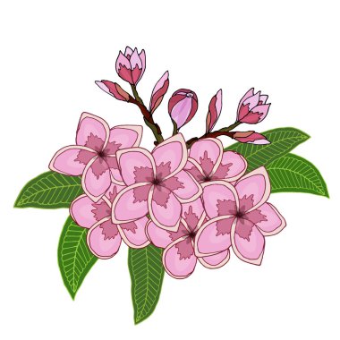 Çeviri: nazo82 Shagrathian