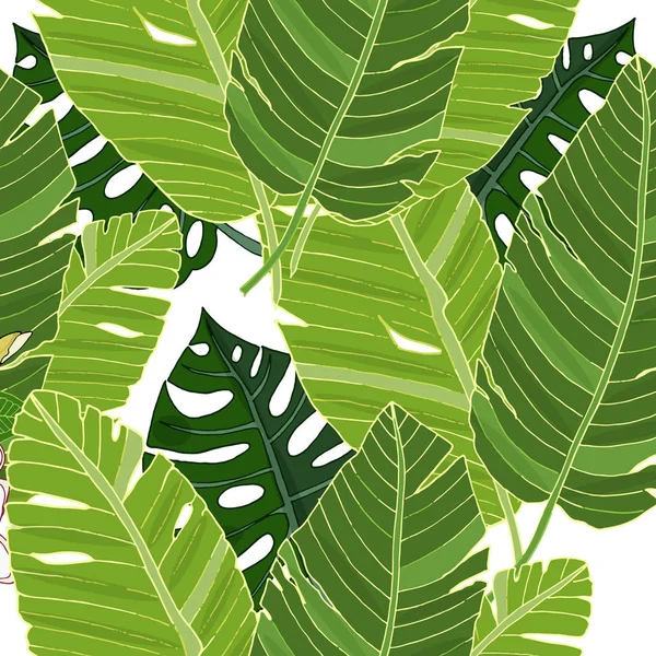 Naadloze exotische patroon met banaan en Monstera blad vector — Stockvector