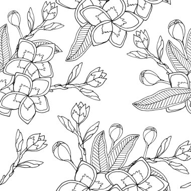 Çizgi sanatı Plumeria veya Frangipany çiçek dikişsiz desen vektör