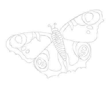 Beyaz arka planda siyah çizgi kelebeği izole edilmiş. Kelebek boyama sayfası veya kitap.