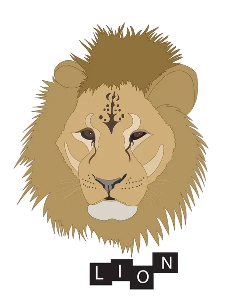 Lev Izolovaný Bílém Pozadí Barevné Lví Zvíře — Stockový vektor