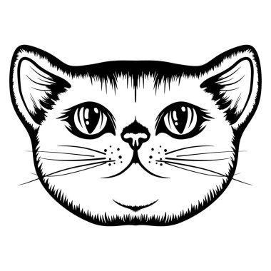 Sevimli kedi boyama kitabı ya da aktif sayfa. Kedi boyama kitabı. Hayvan vektörü