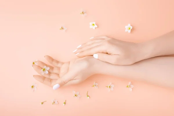 Creative Photo Fashion Female Hands Clean Skin White Manicure Hold — Stock Photo, Image