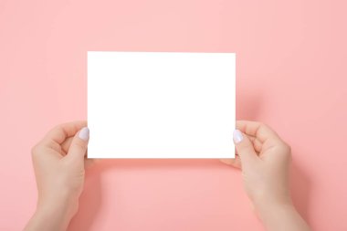 Pembe üzerinde boş bir kağıt çarşaf tutan kadınların elleri. Boş bir kağıt parçasının maketi