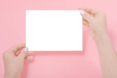 Pembe üzerinde boş bir kağıt çarşaf tutan kadınların elleri. Boş bir kağıt parçasının maketi