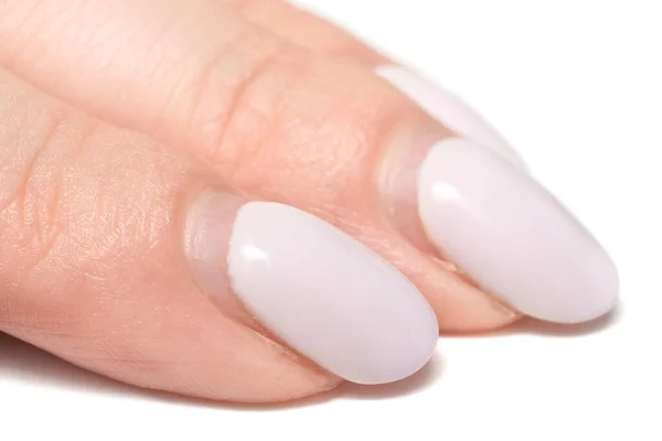 Overgrown gel polish nails on female hands isolated on a white background. Nails care. Time for correction gel polish. Close-up.