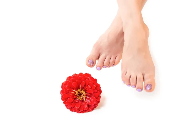 Women Beautiful Well Groomed Feet Clean Soft Skin Red Flower — Stock Photo, Image