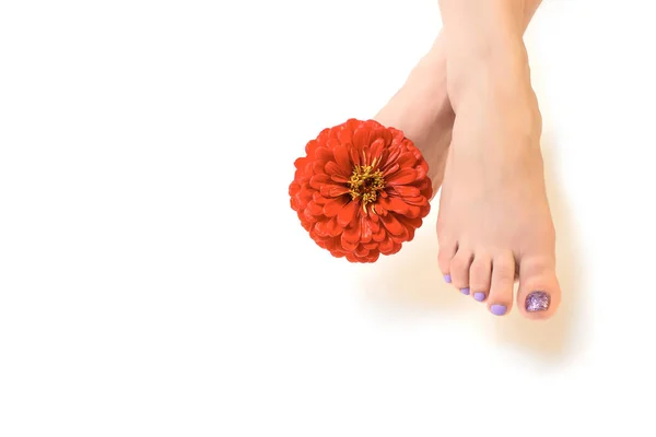 Women Feet Pedicure Nails Red Flower Decoration Women Legs White — Stock Photo, Image