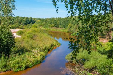 Orman nehrinin yaz ormanlarının üzerindeki manzarası. En tepedeki orman ağacı, yağmur ormanı ekosistemi ve sağlıklı çevre konsepti ve arka plan, nehir ve orman üzerindeki yeşil ağaç ormanı dokusu.