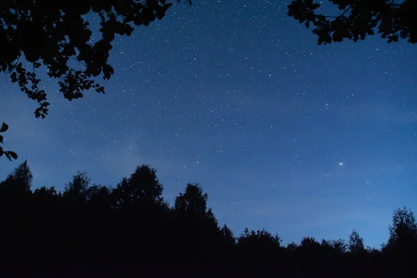 the night sky is framed by dark silhouettes of trees. Night sky with stars and milky way