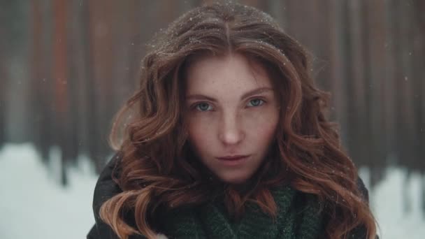 Πορτρέτο του μια κοκκινομάλλα κοπέλα με μια εμφάνιση elven μέσα σε ένα δάσος του χειμώνα — Αρχείο Βίντεο