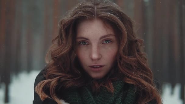 Retrato de una chica pelirroja con apariencia de elfo en un bosque de invierno — Vídeos de Stock