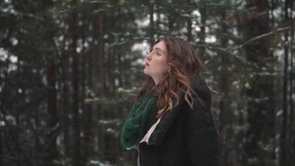 一个红头发的女孩在冬天的森林里漫步的画像 — 图库视频影像