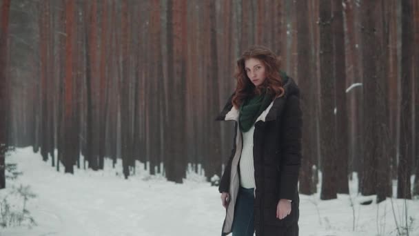 Retrato de una chica pelirroja con apariencia de elfo en un bosque de invierno — Vídeos de Stock