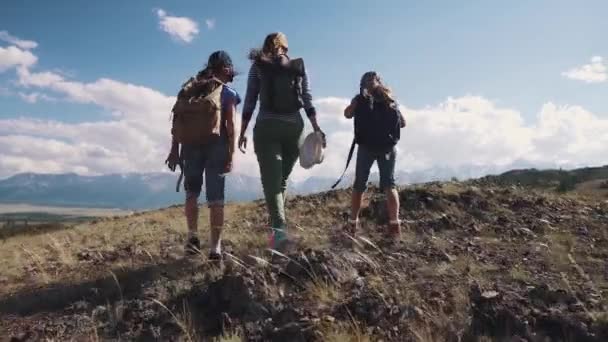 Familj av turister. en ung kvinna med barn gå längs en väg i bergen. En ung mor och barn med ryggsäckar gå på en vandring. bakifrån — Stockvideo