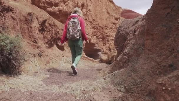 Дівчина подорожує по незвичайній місцевості. червона земля і гори, як на Марсі — стокове відео