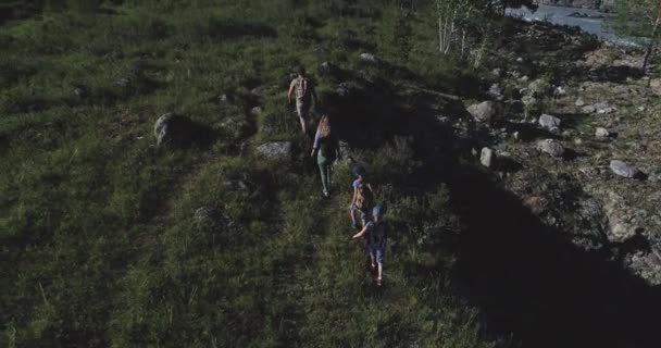 Aérienne. famille de touristes. une jeune femme et un homme avec des enfants marchant le long d'un sentier dans les montagnes. Une jeune mère et un jeune père avec des sacs à dos font une randonnée. vue arrière — Video