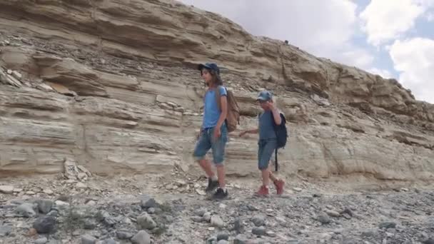 Los niños son viajeros en una caminata. Un pequeño turista con mochilas camina por el terreno montañoso . — Vídeos de Stock