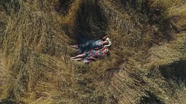 Aerial. two girls in dresses in the style of Provence lie in the hayloft. view from above. girls on mowed grass in the province — Stock Video