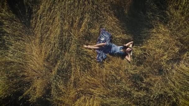 Aerea. giovane ragazza in abito si trova su un prato nell'erba. vista dall'alto. donna attraente in un abito rustico. vista dall'alto . — Video Stock