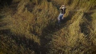 Hava. bir kız bir rustik elbise ve hasır şapka çim çayırlarda size yürür. bir alandaki sevimli bir kız portresi. yukarıdan görüntülemek.