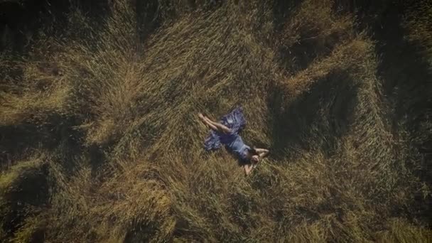 Hava. rustik elbiseli çekici kız Samanlık içinde yatıyor. şapkalı bir genç kadın. Doğa ve huzur ile birlik kavramı. yukarıdan görüntülemek. — Stok video