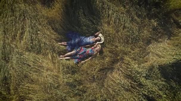 Aerea. ragazze in cappelli e abiti da villaggio sono distesi nel fienile. vista dall'alto. concetto di ricreazione all'aperto. fotocamera sale verso l'alto — Video Stock