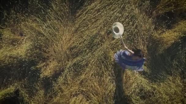 Luchtfoto. aantrekkelijk meisje draait in een weide, een strooien hoed te houden. van bovenaf bekijken. — Stockvideo