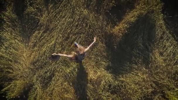 Antenne. attraktive Mädchen dreht sich auf einer Wiese und hält einen Strohhut. Blick von oben. — Stockvideo