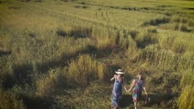 Hava. kız yüksek çim sahada yürüyor. Köyde iki sevimli kız Giydir çayırlarda yürüyüş ve elele. yukarıdan görüntülemek.