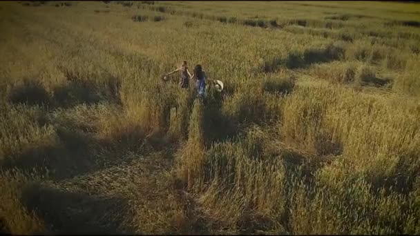 Antenowe. dziewczyna jest chodzenie wzdłuż wysokiej trawy na łące. dwie młode kobiety w słomkowe kapelusze i wieś sukienki. Widok z góry. zwolnionym tempie — Wideo stockowe